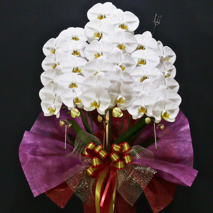 静岡県 社長就任祝い