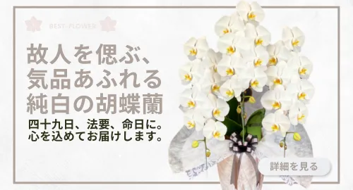 お悔み