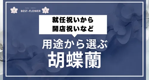 用途から選ぶ