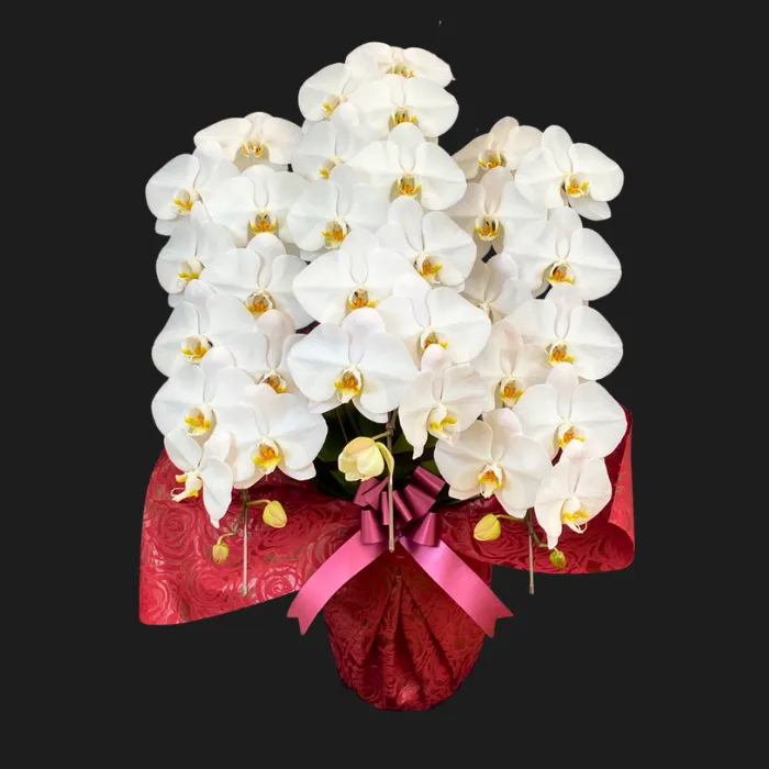 埼玉県 お祝い 誕生日