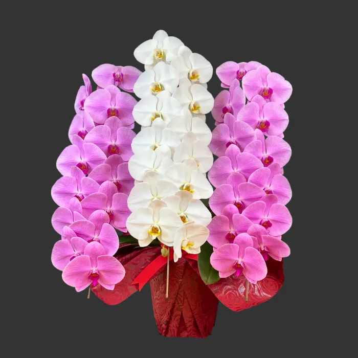 岩手県 誕生お祝い